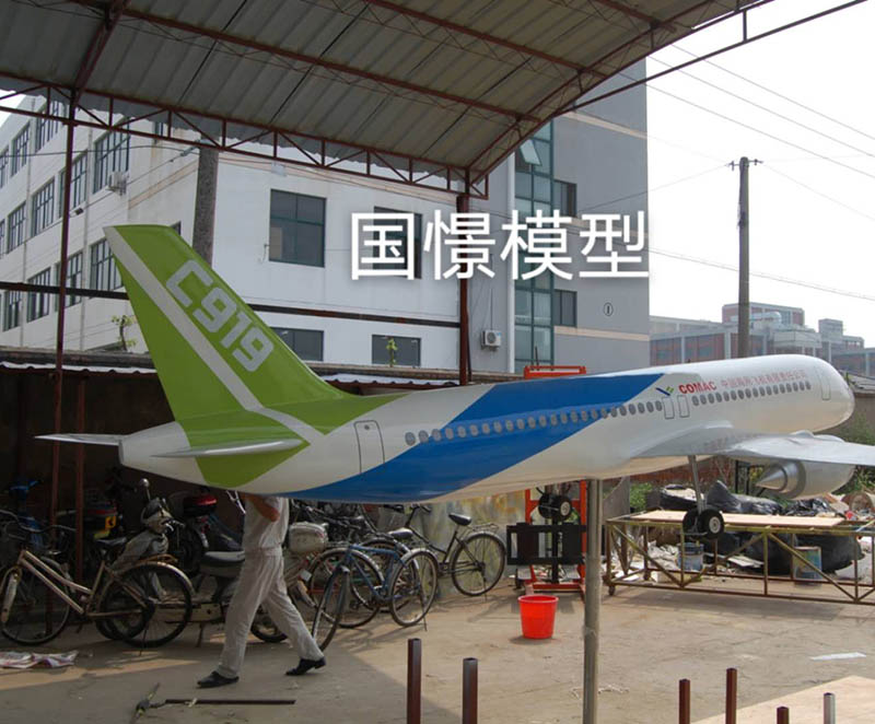 商水县飞机模型