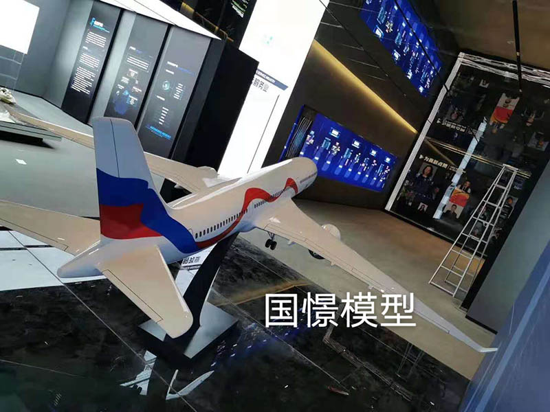 商水县飞机模型