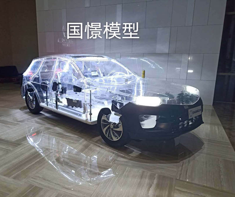 商水县透明车模型